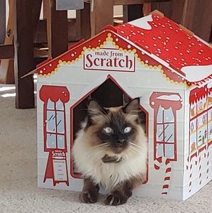 Meet your Posher, Zohar